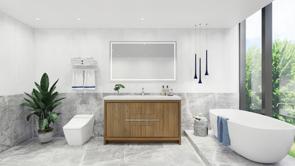 Lucia 60" Single Sink Classic Freestanding Bathroom Vanity